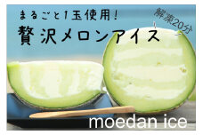 【先行予約／数量限定】メロンまるごとプレミアム萌え断アイス（2024年7月下旬～発送）　RM00019