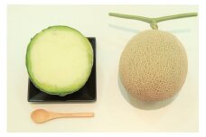 【先行予約／数量限定】メロンまるごとシャーベット（2024年7月下旬～発送）　RM00020