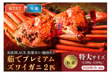 【蟹の匠 魚政】茹で　プレミアムズワイガニ 魚政BLACK（松葉ガニ・越前ガニ）特撰 特大サイズ（1200～1300g） 2匹セット　 (2026年1月～発送)【平日】松葉蟹 蟹 かに カニ ガニ がに ボイル 海産物 甲殻類 海の幸 まるごと　UO01309