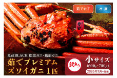 訳あり　【蟹の匠 魚政】茹で　プレミアムズワイガニ 魚政BLACK（松葉ガニ・越前ガニ） 小サイズ（600～700g） 1匹【2026年1月～発送：平日】UO01311
