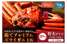 訳あり　【蟹の匠 魚政】茹で　プレミアムズワイガニ 魚政BLACK（松葉ガニ・越前ガニ） 特大サイズ（1200～1300g） 1匹【11月～12月発送：平日】　UO01316