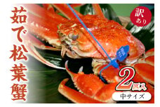 日本海産　ブランド蟹　茹で松葉蟹【訳あり】中サイズbrandkani600　2匹入り　SS00115