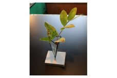 三角錐花器　SV00002