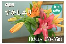 京丹後すかしユリ　色お任せ10本（30～35輪）　NG00013