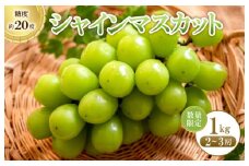 【数量限定】シャインマスカット 1kg　FA00001