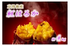 【先行予約／数量限定100】砂丘育ち 女性に人気の新物 砂丘甘藷 紅はるか（4kg前後）約12～36本入（2025年1月～発送）　YK00246