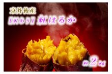 【先行予約／数量限定50】【訳あり】砂丘育ち 女性に人気の新物 砂丘甘藷 紅はるか（2kg前後）約6～18本入（2025年1月～発送）　YK00247