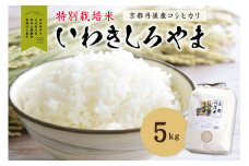 京都丹後産コシヒカリ特別栽培米　いわきしろやま 5kg　IW00007