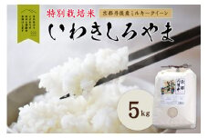 京都丹後産ミルキークイーン特別栽培米　いわきしろやま　5kg　IW00009