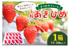 【先行予約／数量限定200】【特選】京都・まつみやファームの大粒いちご（あきひめイチゴ）15～20粒（2026年2月上旬～発送）　MY00009