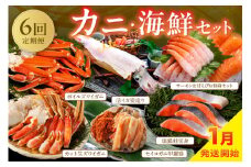 【定期便6回／1月発送】店主厳選！おすすめカニ・海鮮セット（カット生ズワイガニ4肩・ボイルズワイガニ4肩・セイコガニ甲羅盛3個・銀鮭切り身約1kg・サーモン＆甘えびお刺身セット・活イカ姿造り200g前後）海鮮 定期便 カニ 定期便 海鮮 頒布会　YK00255