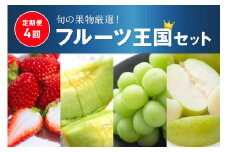 【先行予約／フルーツ定期便4回】旬の果物厳選！京丹後フルーツ王国セット（完熟イチゴ・メロン・シャインマスカット・二十世紀梨）（2025年2月中旬～発送）　YK00250