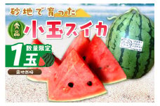 【先行予約／数量限定100】にしまるスイカ 秀品 1玉入り（露地栽培）（2025年7月中旬から発送）　FR00012