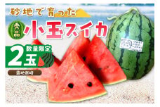 【先行予約／数量限定100】にしまるスイカ 秀品 2玉入り（露地栽培）（2025年7月中旬から発送）　FR00013
