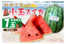 【先行予約／数量限定100】にしまるスイカ 訳あり 1玉入り（露地栽培）（2025年7月中旬から発送）　FR00014