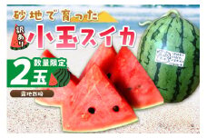 【先行予約／数量限定100】にしまるスイカ 訳あり 2玉入り（露地栽培）（2025年7月中旬から発送）　FR00015