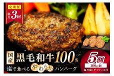 <定期便・隔月3回>塩で食べるやわらかハンバーグ（デミグラスソース付）　NH00041