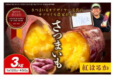 さつまいもオブザイヤー紅はるか部門全国1位 京都・ 丹後産　さつまいも 紅はるか　土付き（1本120〜450g程度）3kg　TF00041
