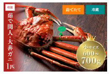 【蟹の匠 魚政】京丹後市産 未冷凍 茹で間人ガニ大善ガニ 特撰 小サイズ (600~700g) 1匹【11月～12月発送：土日祝】　松葉蟹 大善ガニ ボイル 間人ガニ 松葉ガニ 蟹味噌 かにみそ かに カニ 蟹 国産 海産物 海の幸 間人蟹 間人がに たいざがに　UO01390