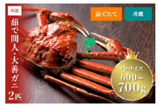 【蟹の匠 魚政】京丹後市産 未冷凍 茹で間人ガニ大善ガニ 特撰 小サイズ (600~700g) 2匹セット【11月～12月発送：平日】　大善ガニ ボイル 蟹 カニ かに ガニ がに 小サイズ 国産 間人蟹 間人がに たいざがに　UO01397