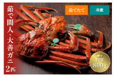 【蟹の匠 魚政】京丹後市産 未冷凍 茹で間人ガニ大善ガニ 特選 800g級 2匹セット【11月～12月発送：平日】　間人蟹 間人がに たいざがに　UO01220