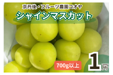 【先行予約／数量限定50】シャインマスカット 700g以上（1房入り）（2025年9月上旬～発送）　FK00008
