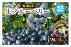【先行予約／数量限定80】国産 京都丹後ブルーベリー 350g×2パック（2026年7月上旬～発送）ブルーベリー生 ブルーベリー大粒 ブルーベリージャムにも　MB00002