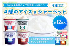 ヒラヤアイス12個セット　HG00002