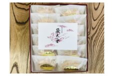 飛天の里12個入り　TD00013