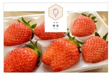 【先行予約】2025年産 京都 蜜いちご（あきひめ）（大サイズ（6粒または8粒）×2パック）約450g（2025年1月上旬～発送）　FM00006