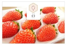 【先行予約】2025年産 京都 蜜いちご（あきひめ）（大サイズ（9粒または11粒）×2パック）約450g（2025年1月上旬～発送）　FM00007