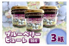 国産ブルーベリーピューレ　農薬不使用（3瓶）　BM00001