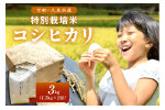 2025年産 京都・久美浜産 特別栽培米コシヒカリ 1.5kg×2袋　AL00007