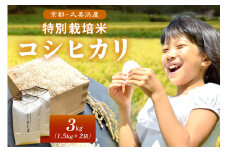 2025年産 京都・久美浜産 特別栽培米コシヒカリ 1.5kg×2袋　AL00004