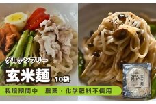 【栽培期間中農薬・化学肥料不使用】玄米麺10袋セット　ヤマウカワファーム グルテンフリー＆ヴィーガン　パスタやうどん、そばの代用食にも　YF00005
