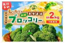 【先行予約】もりもり！ブロッコリー 約2kg（2025年11月中旬～発送）　9株程度 冷蔵 農家直送 ぶろっこりー 野菜 京野菜 新鮮　MY00005