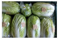 【先行予約】京丹後冬鍋野菜セット（2025年11月中旬～発送）　MY00007
