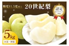 【先行予約／数量限定100】京のブランド産品・京たんご梨（20世紀梨） 5kg（2025年9月上旬～発送）　JK00016