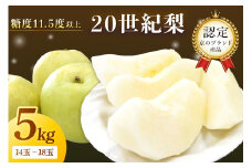 【先行予約／数量限定100】京のブランド産品・京たんご梨（20世紀梨） 5kg（2026年9月上旬～発送）　JK00036