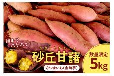 【先行予約／数量限定50】砂丘甘藷（さつまいも（金時芋）） 5kg（2025年12月上旬～発送）　JK00018