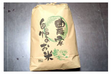 2024年産 京都・京丹後弥栄 コシヒカリ 10kg 【玄米】　MF00045