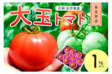 【先行予約】京丹後産 大玉トマト 1kg以上 春夏発送（2025年5月中旬～発送）　MY00008