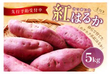 【先行予約／数量限定80】京丹後産 土付き 紅はるか（さつまいも） 5kg（2025年11月上旬～発送）　HF00008