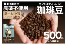 【栽培期間中農薬不使用】自家焙煎コーヒー豆 ホンジュラス　コパン 500g（250g×2） 約50杯分 小分け　豆・粉 選べる　HA00025