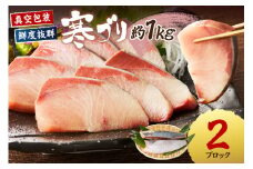 魚屋が捌く寒ブリ約1kg切り身　（2ブロック）冷凍　TB00029