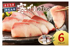 魚屋が捌く寒ブリ約1kg切り身　（6ブロック）冷凍　TB00030