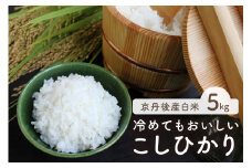 令和6年産　京都・京丹後産コシヒカリ　5㎏（5kg×1袋）　TO00114