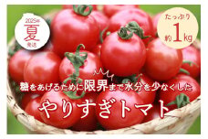 トマトに一生をかけたこだわりトマト農家の極み「やりすぎトマト（4パック計約1kg）」（夏季）（2025年6月上旬以降発送）　DE00132