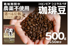 【栽培期間中農薬不使用】自家焙煎コーヒー豆 コロンビア シエラネバダ 500g（250g×2） 約50杯分 小分け　豆・粉 選べる　HA00026
