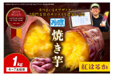 【先行予約】日本一！さつまいもオブザイヤー2部門受賞のサツマイモ農家が作る「紅はるか」の冷凍焼き芋1kg（4～7本程度）（2026年2月中旬～発送）　TF00049